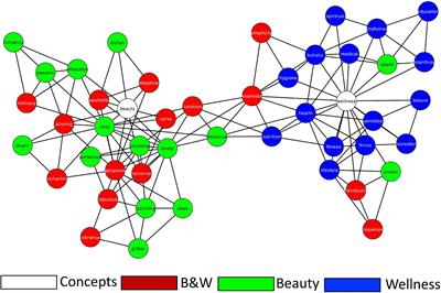 Beauty and Wellness in the Semantic Memory of the Beholder